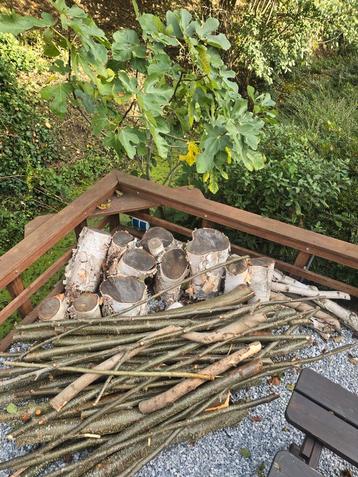 Haardhout - Blokken & Takken  beschikbaar voor biedingen
