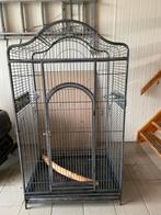 Papegaaien kooi, Ophalen of Verzenden, Gebruikt, Metaal, Vogelkooi