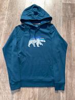 Patagonia Hoodie Maat XS Blauw, Blauw, Vintagie, Haulerwijk, Patagonia