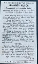 Johannes Musch 1877 Vlijmen, Ophalen of Verzenden