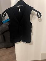 Vest maat 146, Kinderen en Baby's, Kinderkleding | Maat 146, Ophalen of Verzenden, Zo goed als nieuw, Meisje, Trui of Vest