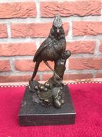 bronzen beeld, kardinaalvogel, Ophalen of Verzenden, Brons