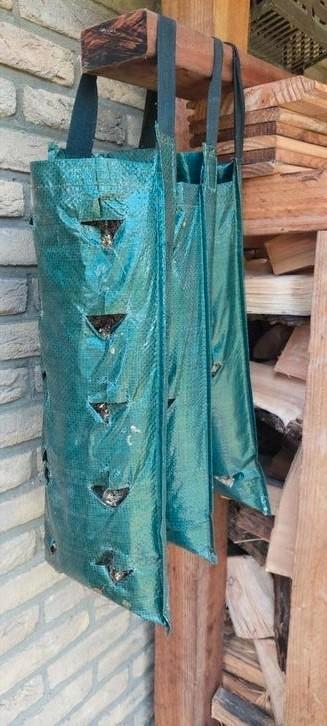 3 plantenhangers gevuld in 1 koop beschikbaar voor biedingen