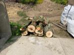 Te koop: 5m3 Haardhout, 3 tot 6 m³, Ophalen, Overige houtsoorten, Blokken