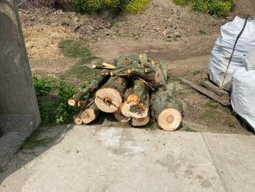 Te koop: 5m3 Haardhout beschikbaar voor biedingen