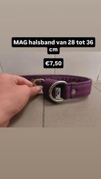 MAG halsband, Dieren en Toebehoren, Ophalen of Verzenden, Zo goed als nieuw