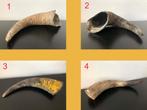 Set (4 stuks) Koeienhoorns (evt. ook los te koop), Ophalen of Verzenden, Zo goed als nieuw, Boerderijdier, Gewei of Kop