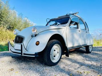 2cv6 Club blanc meije 10-1990 8.800 km 1e eig. beschikbaar voor biedingen