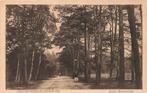 Driebergen-Rijsenburg, Arnh. Bovenweg, Verzamelen, Ansichtkaarten | Nederland, Ophalen of Verzenden, 1920 tot 1940, Ongelopen