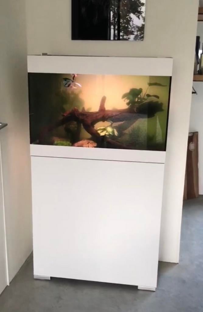 Prachtige oase aquarium met koppel maanvissen, Ophalen, Zo goed als nieuw, Gevuld zoetwateraquarium