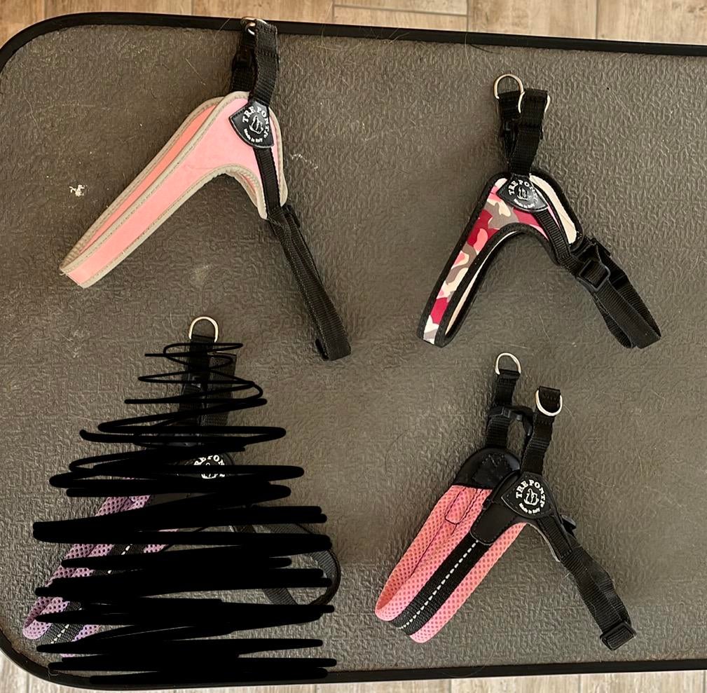 Kleine maten treponti tuigjes, Verzenden, Gebruikt