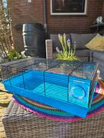 Hamster/muizen kooi Ferplast gratis, Dieren en Toebehoren, Knaagdieren en Konijnen | Hokken en Kooien, Kooi, Gebruikt, Minder dan 75 cm