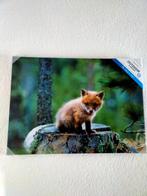 Schilderij Vosje Outdoor, Ophalen, Nieuw