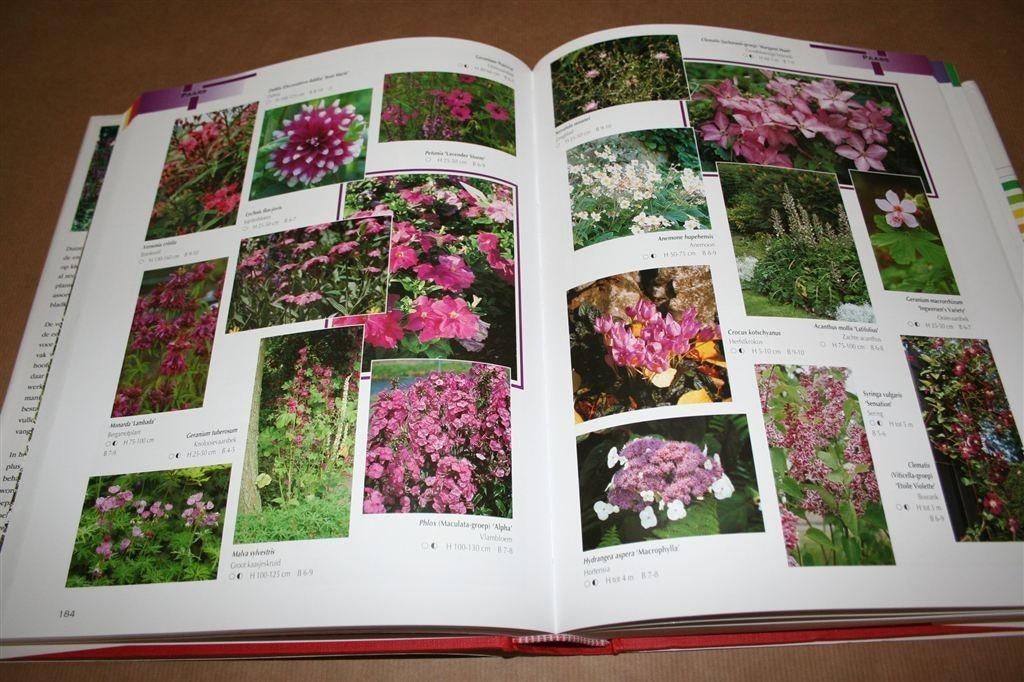 Tuinplantenencyclopedie — Uitgebreide uitgave: 2500 planten, Boeken, Wonen en Tuinieren, Ophalen of Verzenden, Gelezen, Tuinieren en Tuinplanten