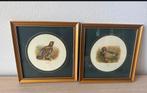 Twee ingelijste vogelprints, capercaillie en mallard, Ophalen of Verzenden, Gebruikt, Print, Minder dan 50 cm