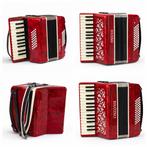 Biagino Accordeon - Prachtig instrument!, Overige merken, Gebruikt, Met riemen, Overige formaten