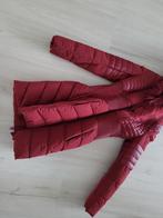 Guess stretch winterjas met Capuchon maat M dames, Maat 38/40 (M), Ophalen of Verzenden, Zo goed als nieuw, Overige kleuren