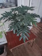 Grote kunstplant in pot hoogte circa 50 cm, Belle Vieille Brocante, Ophalen of Verzenden, Zo goed als nieuw, Jolandamonsieurs@gmail.com