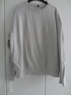 longsleeve in lichtgrijs van Bien Blue maat M, Maat 38/40 (M), Ophalen of Verzenden, Zo goed als nieuw, Lange mouw