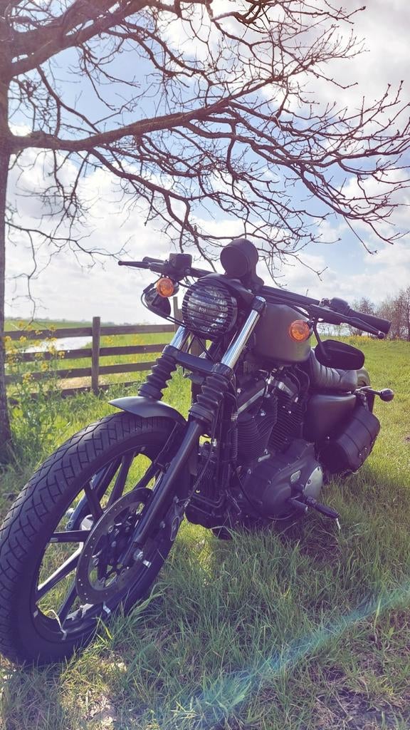 Harley Davidson Sportster 883 Iron, Motoren, Motoren | Harley-Davidson, Particulier, Chopper