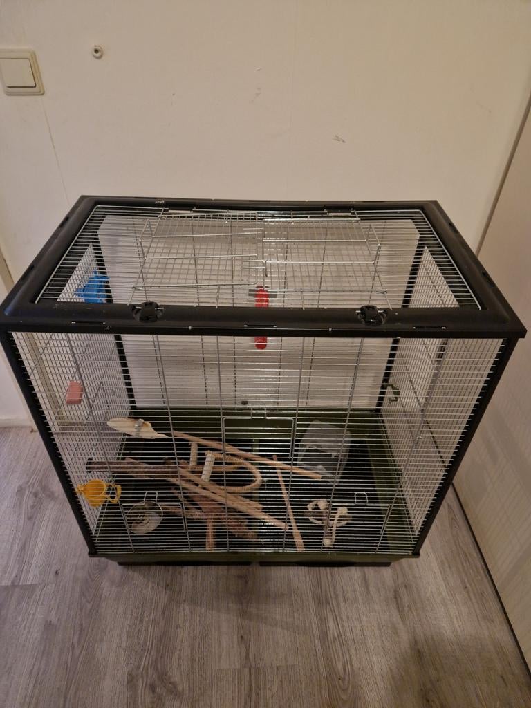 Grote vogelkooi, Dieren en Toebehoren, Vogels | Hokken en Kooien, Ophalen, Zo goed als nieuw, Vogelkooi