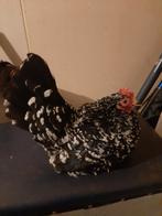 Te koop trio chabo kriel zwart witgepareld., Dieren en Toebehoren, Pluimvee, Meerdere dieren, Kip