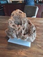 Aquarium steen, Dieren en Toebehoren, Ophalen, Plant(en), Steen of Hout