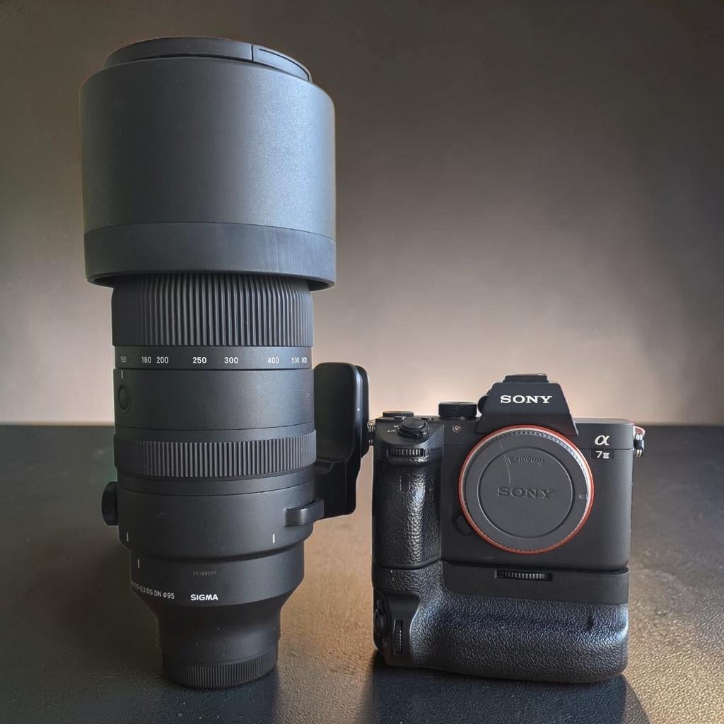 Sony A7 III met Sigma 150-600mm lens en battery grip, Ophalen, Sony, Geen optische zoom