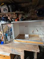 Broedkooien, Dieren en Toebehoren, Ophalen, Broedkooi of Kweekkooi