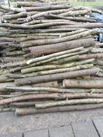 Populier Hout, 3 tot 6 m³, Ophalen, Overige houtsoorten, Stammen