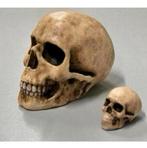 GOOD GUY SKULL Handgemaakt schedel 2x mini Quirky Goth Gift, Verzamelen, Beelden en Beeldjes, Ophalen of Verzenden, Nieuw, Mens