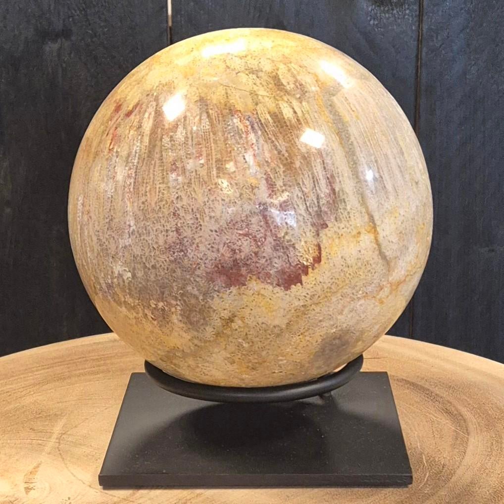 Fossiel koraal bol, Verzamelen, Mineralen en Fossielen, Ophalen of Verzenden, Fossiel