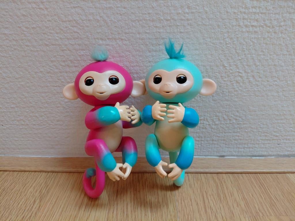 Fingerlings monkey, Ophalen
