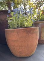 Oud Hollandse kwaliteit dikke terracotta bol mooie bloempot, 25 tot 40 cm, Rond, Ophalen of Verzenden, Zo goed als nieuw