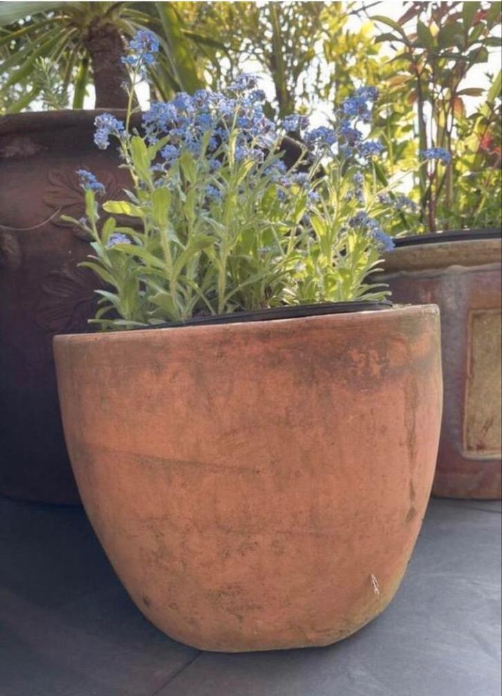 Oud Hollandse kwaliteit dikke terracotta bol mooie bloempot, Tuin en Terras, Bloempotten, Zo goed als nieuw, Terracotta, Binnen