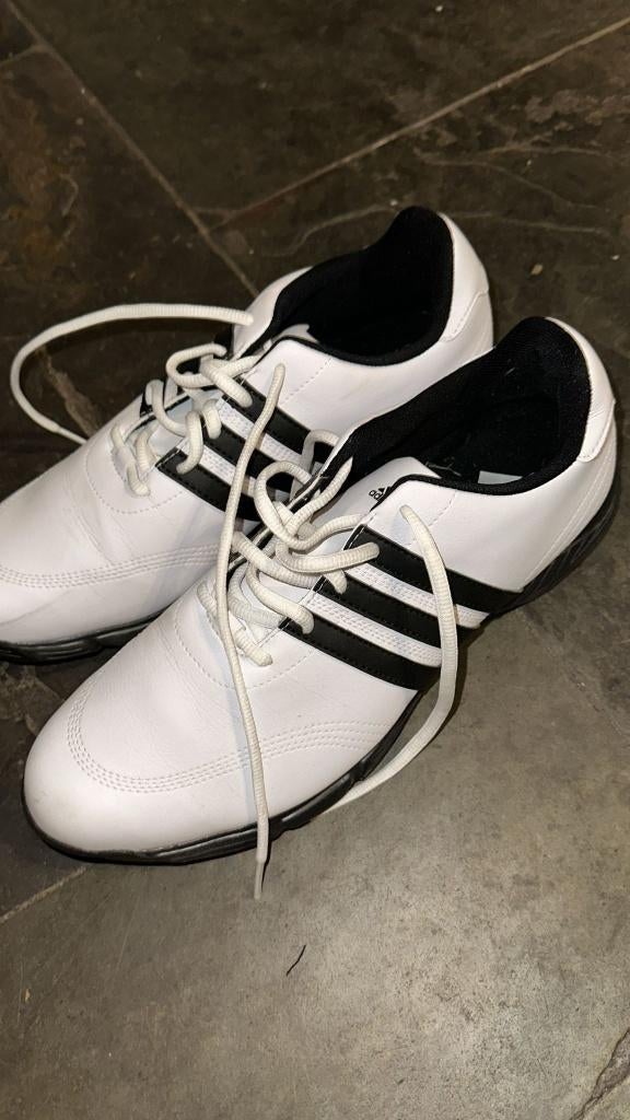 Golfschoenen Adidas maat 42, Sport en Fitness, Golf, Ophalen of Verzenden, Nieuw, Schoenen, Overige merken