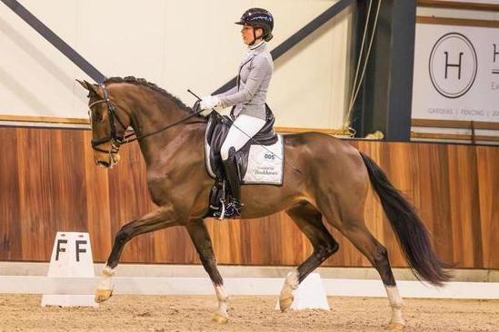 Lichte tour amazone bied dressuur instructie aan, Diensten en Vakmensen, Dieren | Paarden | Verzorging, Oppas en Les, Gedragstraining
