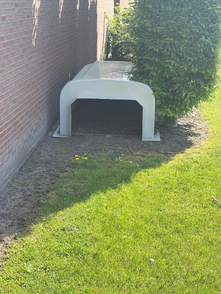 Schuilhut, Vrouwelijk, Schaap