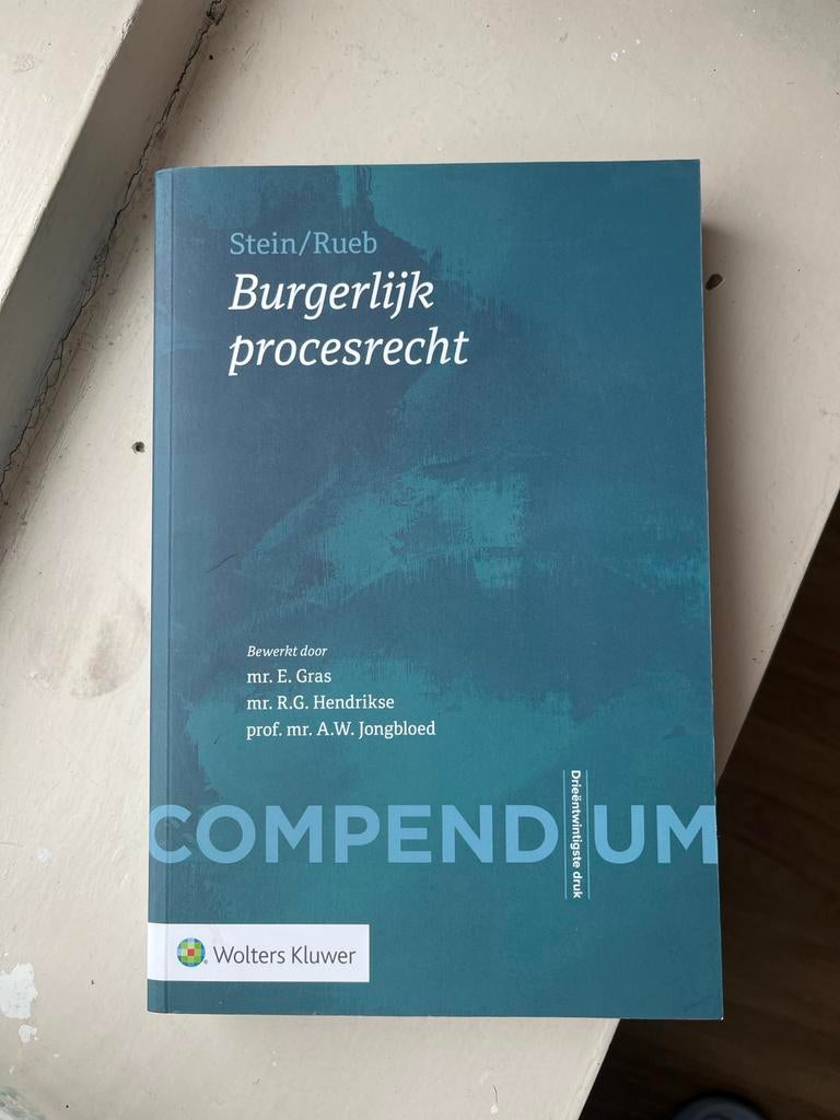 Compendium Burgerlijk procesrecht - Stein/Rueb, Ophalen of Verzenden, Gamma, Zo goed als nieuw, WO