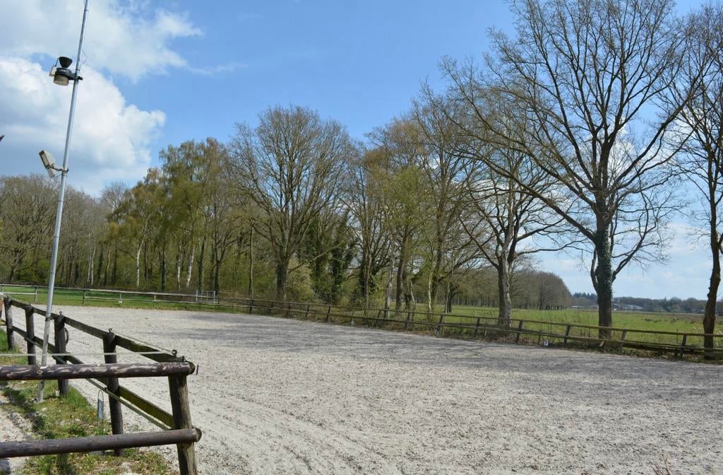 Pensionstal aangeboden, Dieren en Toebehoren, Stalling en Weidegang
