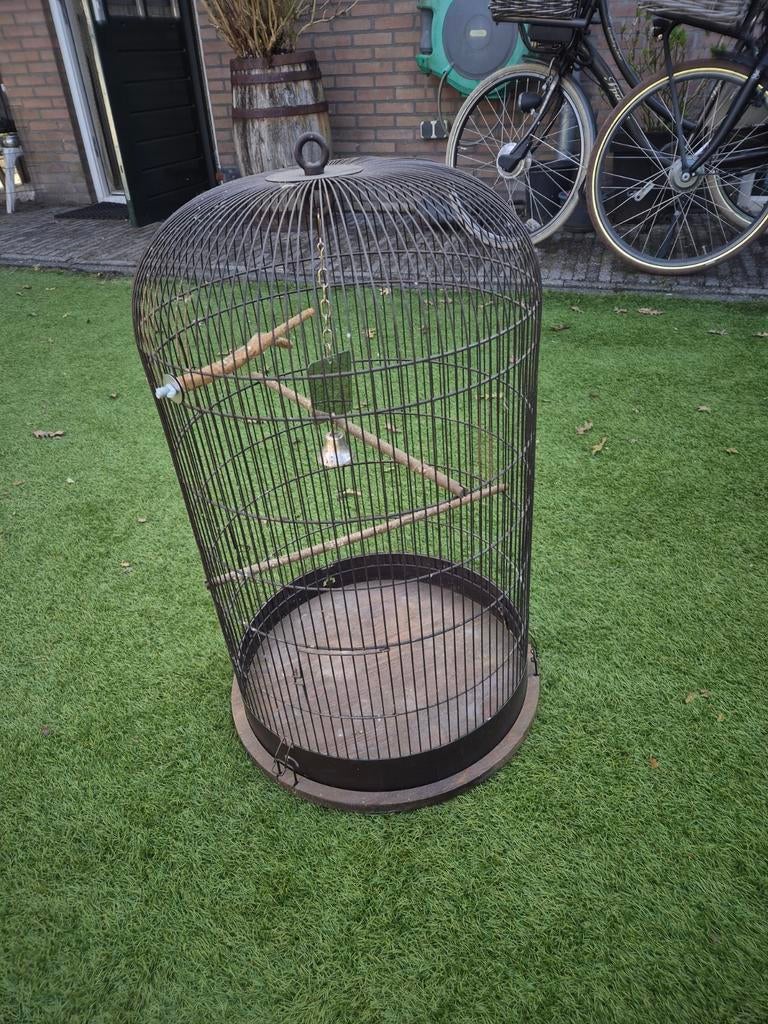 Vogelkooi retro zolux