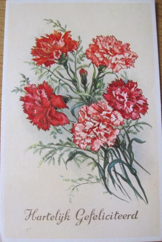 Hartelijk gefeliciteerd - anjers - retro, Verzenden, 1960 tot 1980, Feest(dag)