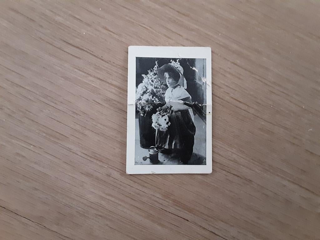 Reclameplaatje koffie Scholtens overheerlijke koffie, Ophalen of Verzenden, Gebruikt