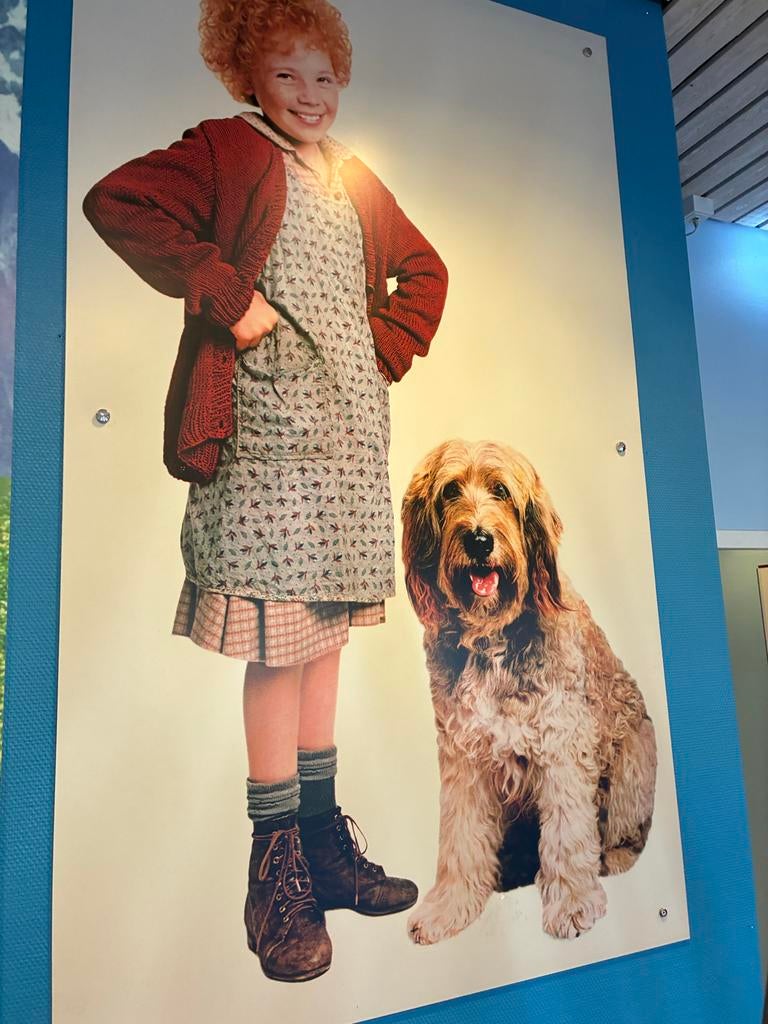 Grote Annie poster op board, Deurposter of groter, Ophalen of Verzenden, Film en Tv, Rechthoekig Staand