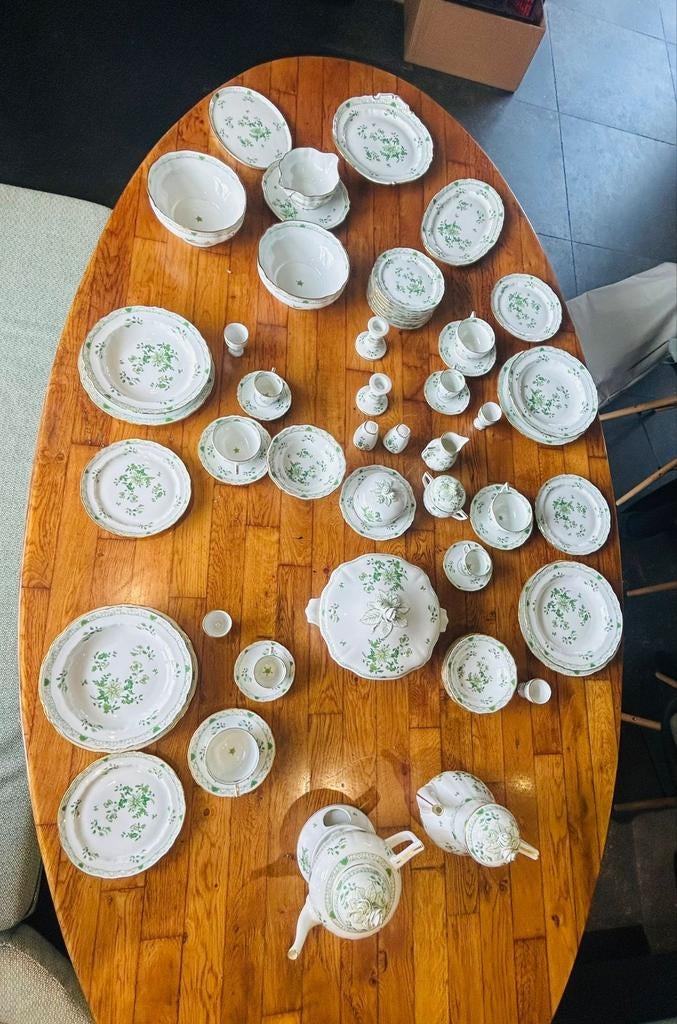 Groot  Haviland Limoges servies (Schleiger) – puntga, Ophalen of Verzenden