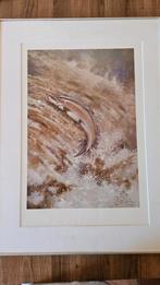 "The leaping Salmon" by Robin Armstrong, Antiek en Kunst, Kunst | Tekeningen en Foto's, Ophalen