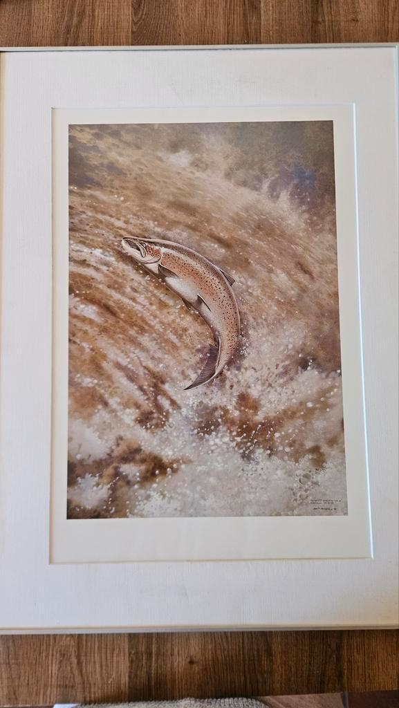 "The leaping Salmon" by Robin Armstrong, Antiek en Kunst, Kunst | Tekeningen en Foto's, Ophalen