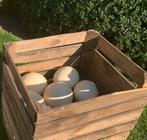 Struisvogel eieren, schoongemaakt, Ophalen of Verzenden, Nieuw