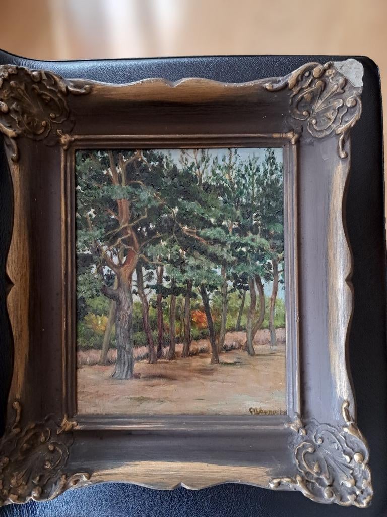 Prachtig bos/park landschap (1880-1940), Ophalen of Verzenden