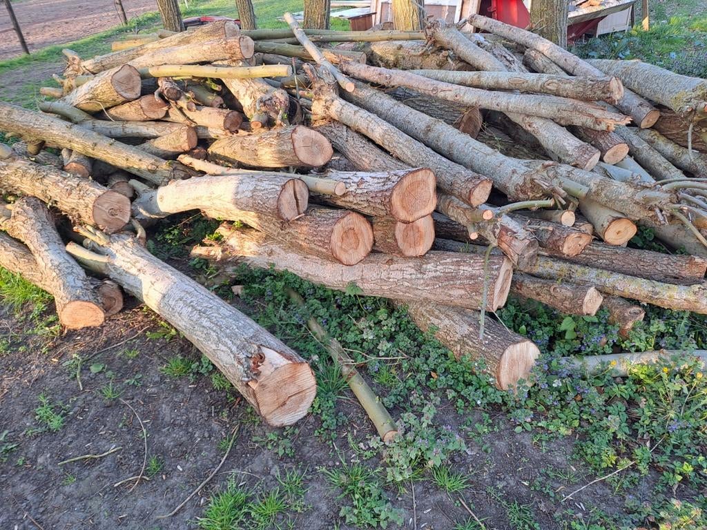 Vers gezaagd wilgenhout, Tuin en Terras, Haardhout, 3 tot 6 m³, Ophalen